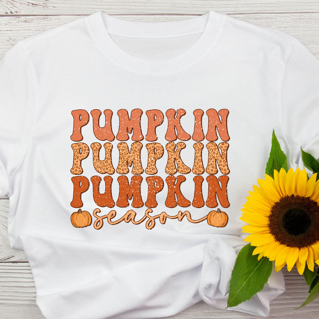 Pumpkin Season Hoodie or T-Shirt